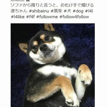 退会や事故に備えて主要SNSの投稿データをバックアップするワザ