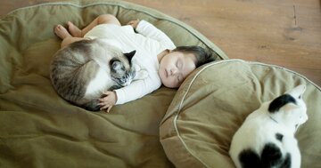 猫は「人間だけ」にミャオと鳴く。私たちが猫を無視できない〈本能的な理由〉