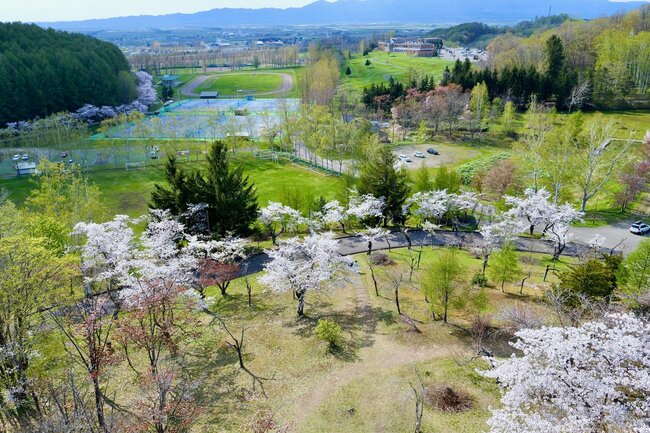 写真：美唄市,東明公園,展望台