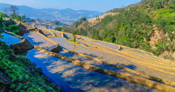 中国の美しい田園風景の陰に“貧困と格差”の現実