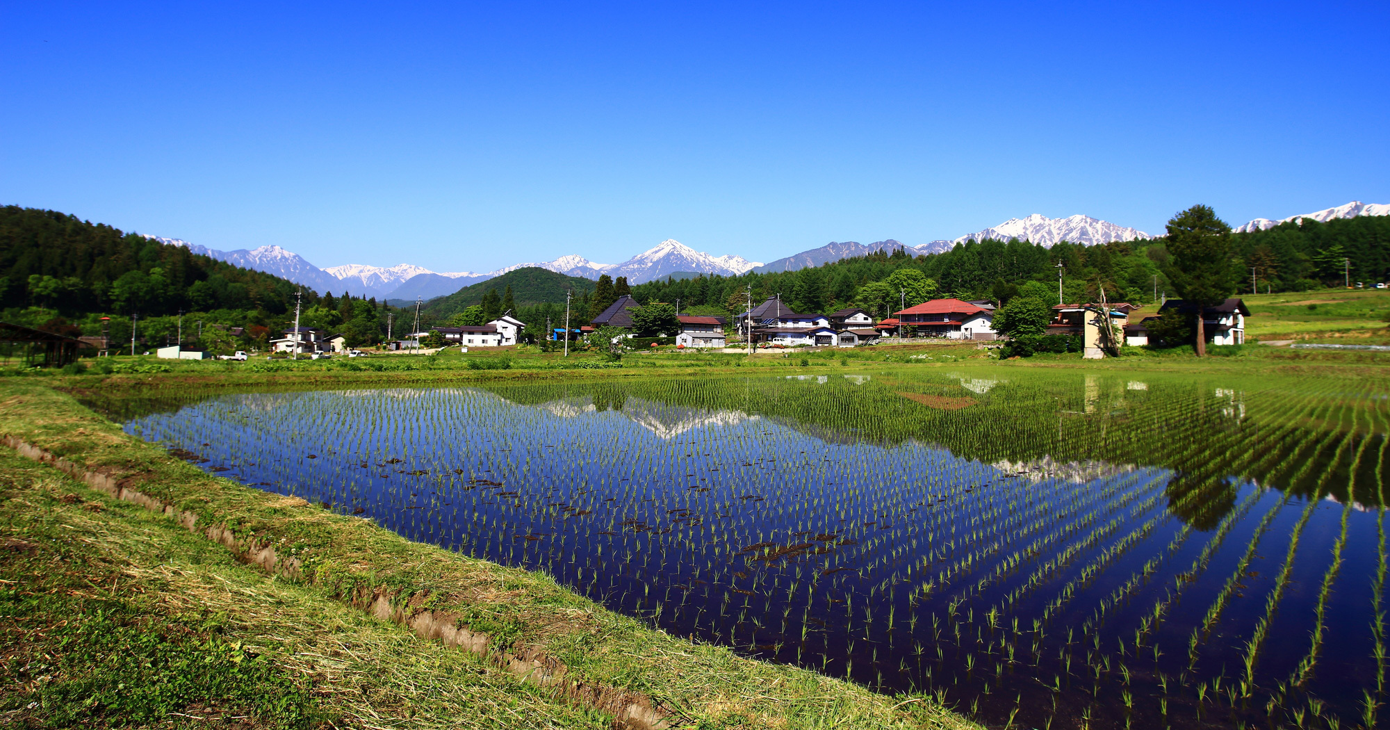 「地方創生」とは横並びのプレミアム商品券のことではない