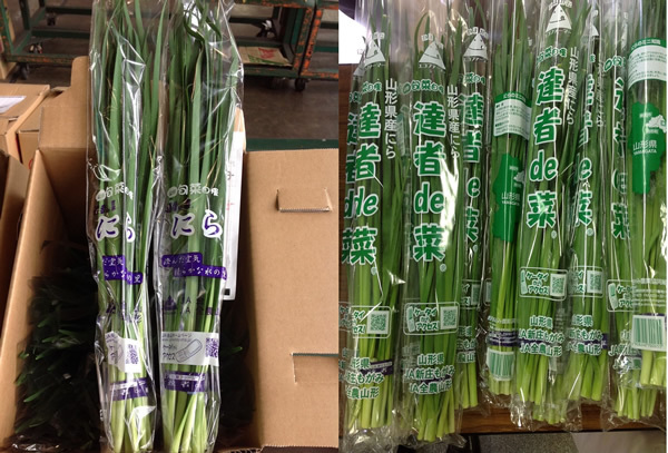 クマさえ食べない“嫌われ野菜”で<br />10億円稼ぐ最高齢85歳ニラ農家集団の逆襲