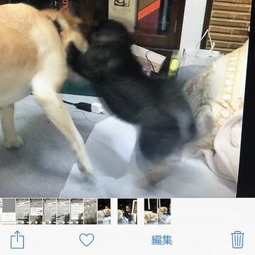 iOS 11にアップデートしてさらにiPhoneを活用する12のワザ