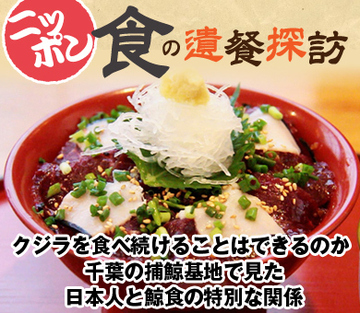 クジラを食べ続けることはできるのか 千葉の捕鯨基地で見た日本人と鯨食の特別な関係