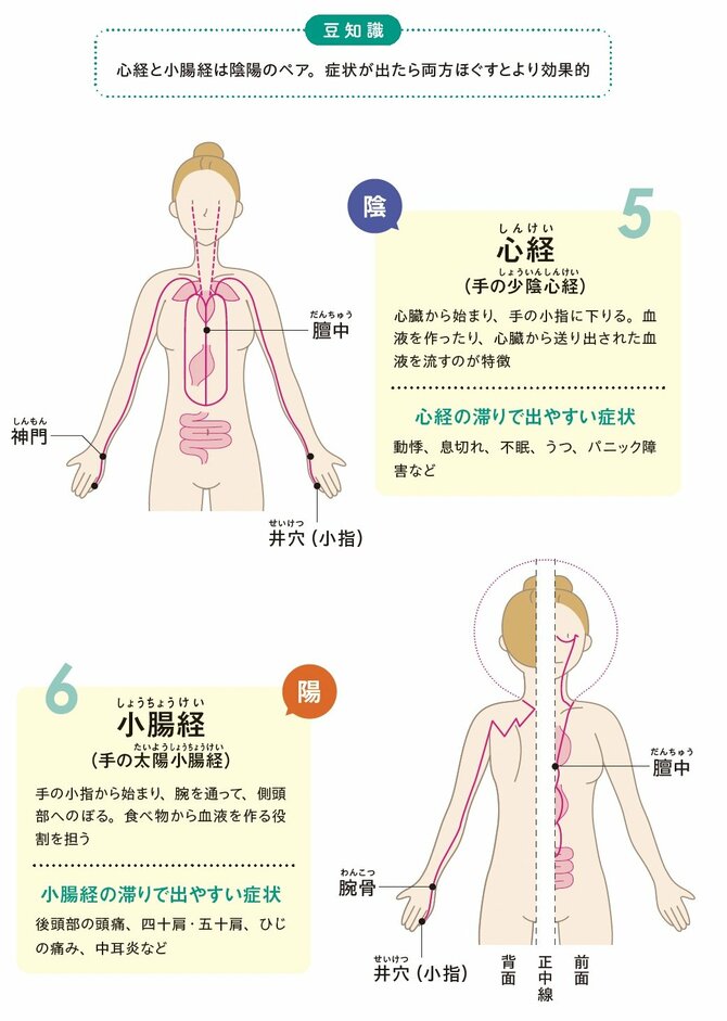 【整体のプロが指南】眠りが浅い・夢が気になる人にやってほしい、体をゆるめる簡単セルフケア