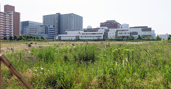 土地のまま貸す更地賃貸がラクで儲かる 激安 空き地 投資 ダイヤモンド オンライン