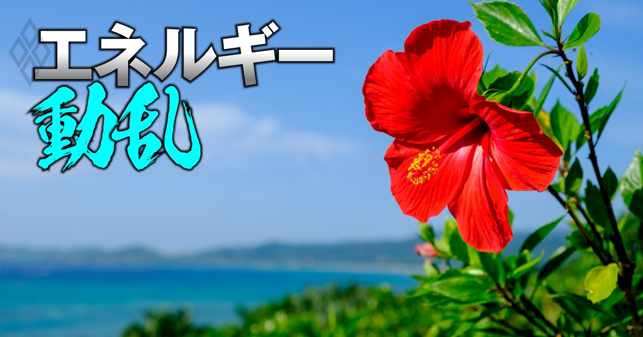 エネルギー動乱