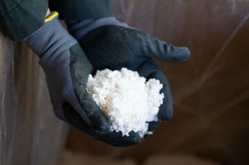 足りないのは「綿」、欧州の対中ロ再軍備で