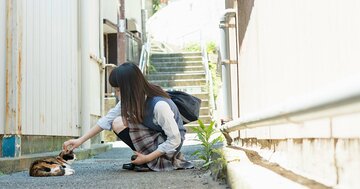 「模試の成績が伸びず、志望校を落とすか悩んでいます。大人の正解を教えてください」。志望校の決め方を考える