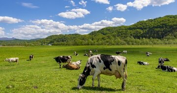 都道府県魅力度ランキング2023【47都道府県・完全版】【2023年度人気記事6位】