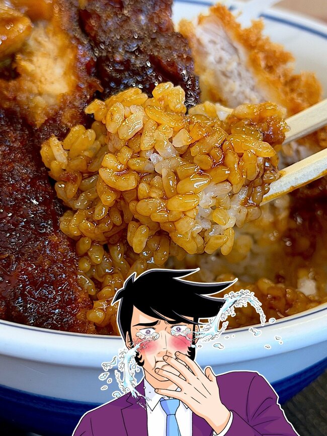 こりゃ通いつめたくなるわ!かつやの“豪快どんぶり”お肉2種盛で白米が止まらない!「ヘビーだった」「ウマすぎんだろ!」《実食レビュー》