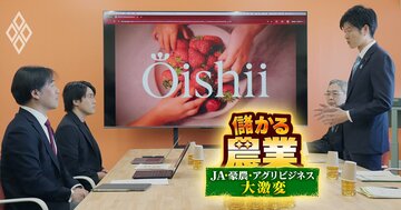 イチゴ植物工場のOishii Farmが新たに240億円の資金調達、累計は525億円に！出資した野村不動産などが注目する「収穫量5割増」への秘策とは？