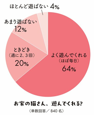 モフモフしたい…「抱っこ嫌いなネコ」の心を開く「魔法の道具」とは?
