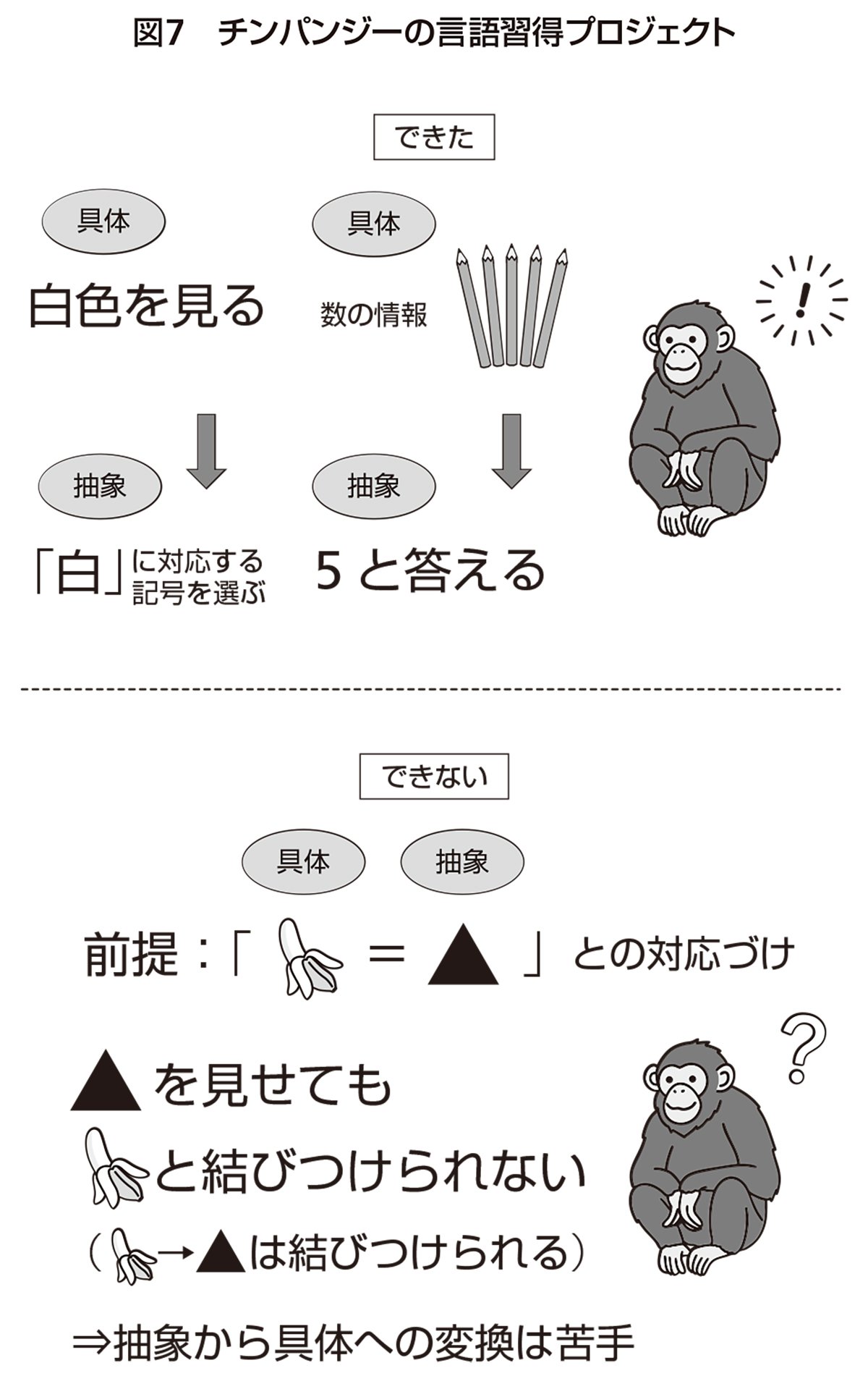 図7 チンパンジーの言語取得プロジェクト