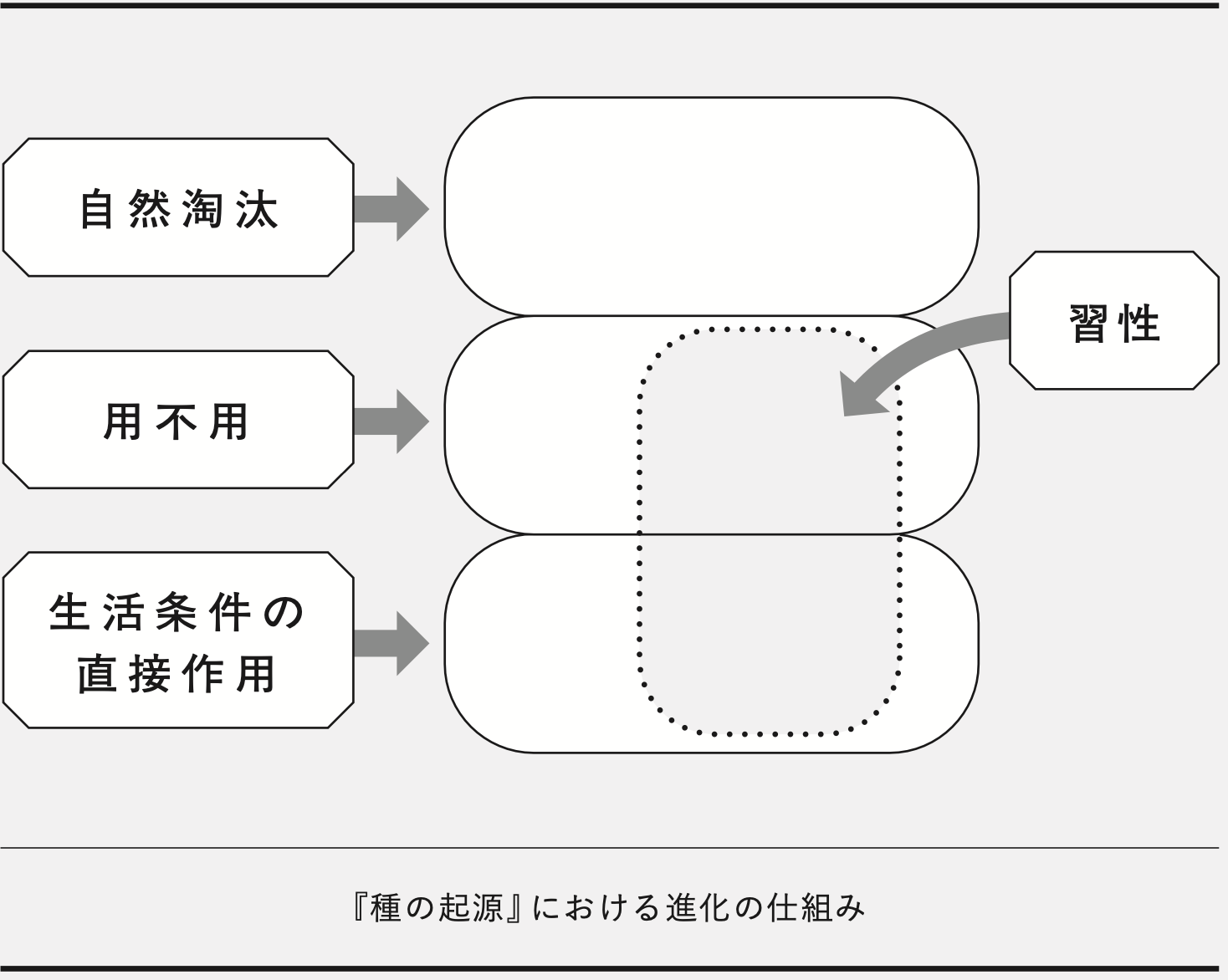 人類に知的革命を起こした名著『種の起源』を理解するために必要な「進化の4つの仕組み」とは？