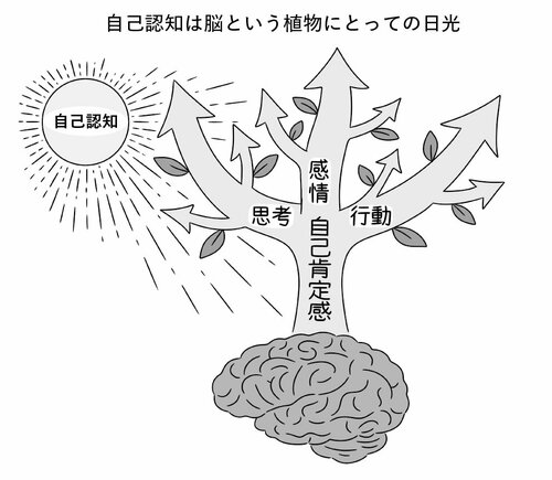 図表：自己認知は脳という植物にとっての日光