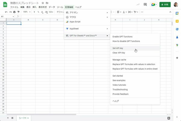 「拡張機能」メニューから「Set API Key」を開く