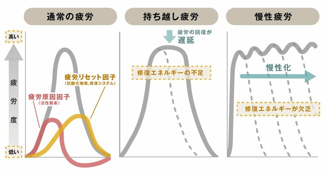 「今日も朝から、だる重…」脳の“休め”アラームに無頓着な人が必ずやっているNG行動