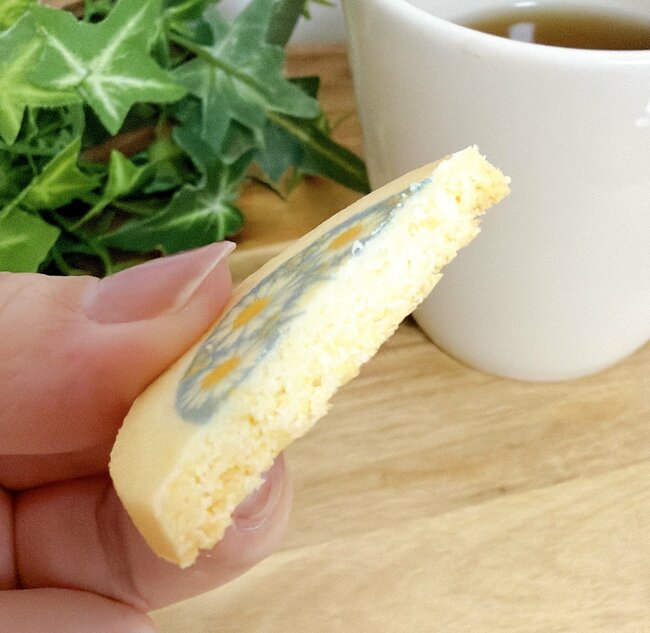 昭和にタイムスリップしたみたい!コージーコーナーの「レトロかわいいバッグ」お菓子がたっぷり入っててコスパすごい!《購入レビュー》
