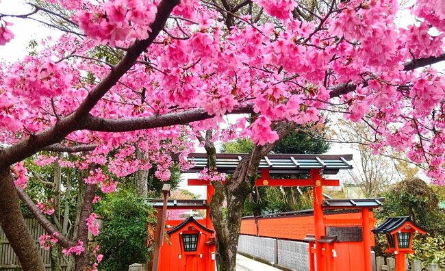 車折神社