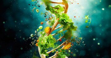 【誰もが避けたい危険物質】一番簡単!「安全な食べ物」の見分け方
