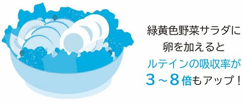 緑黄色野菜サラダに卵を加えるとルテインの吸収率が3~8倍もアップ!