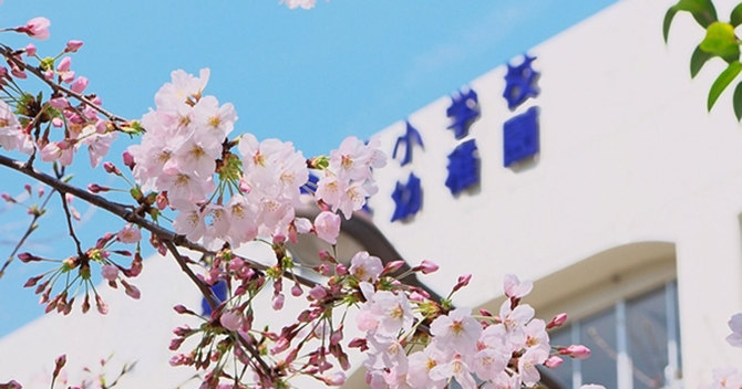 桜の季節の悪天候