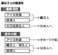 遺伝子上の関連性