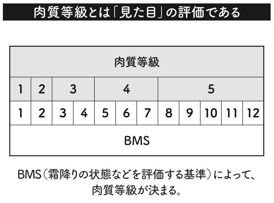 図表：肉質等級とは「見た目」の評価である