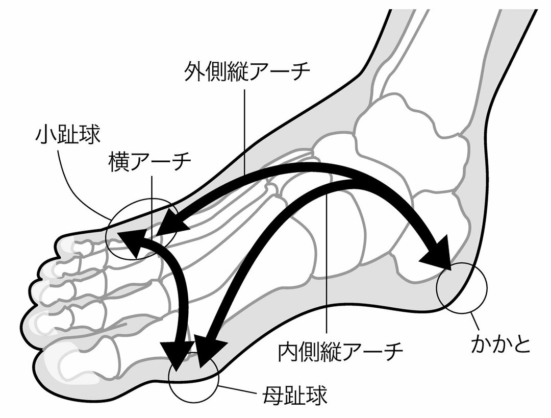 アシックスが膨大なデータから分析した 究極の歩き方 要約の達人 From Flier ダイヤモンド オンライン