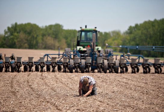 米国の“豊作予測”に黄信号<br />予断を許さない穀物価格