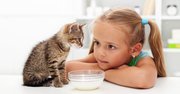 「ペット飼いたい！」親子納得で飼える4大コツ