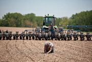 米国の“豊作予測”に黄信号予断を許さない穀物価格