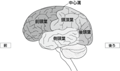 断るのがヘタな人ほどギックリ腰になりやすい