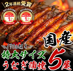 「都農町」の「うなぎ蒲焼（長焼特大サイズ5尾入）」