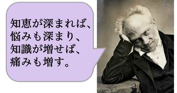 【哲学】知恵が深まれば、悩みも深まり、知識が増せば、痛みも増す。