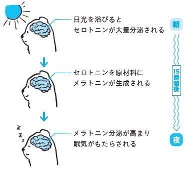 【精神科医が教える】イライラしない体質に変わる! 朝のおすすめ習慣2つ
