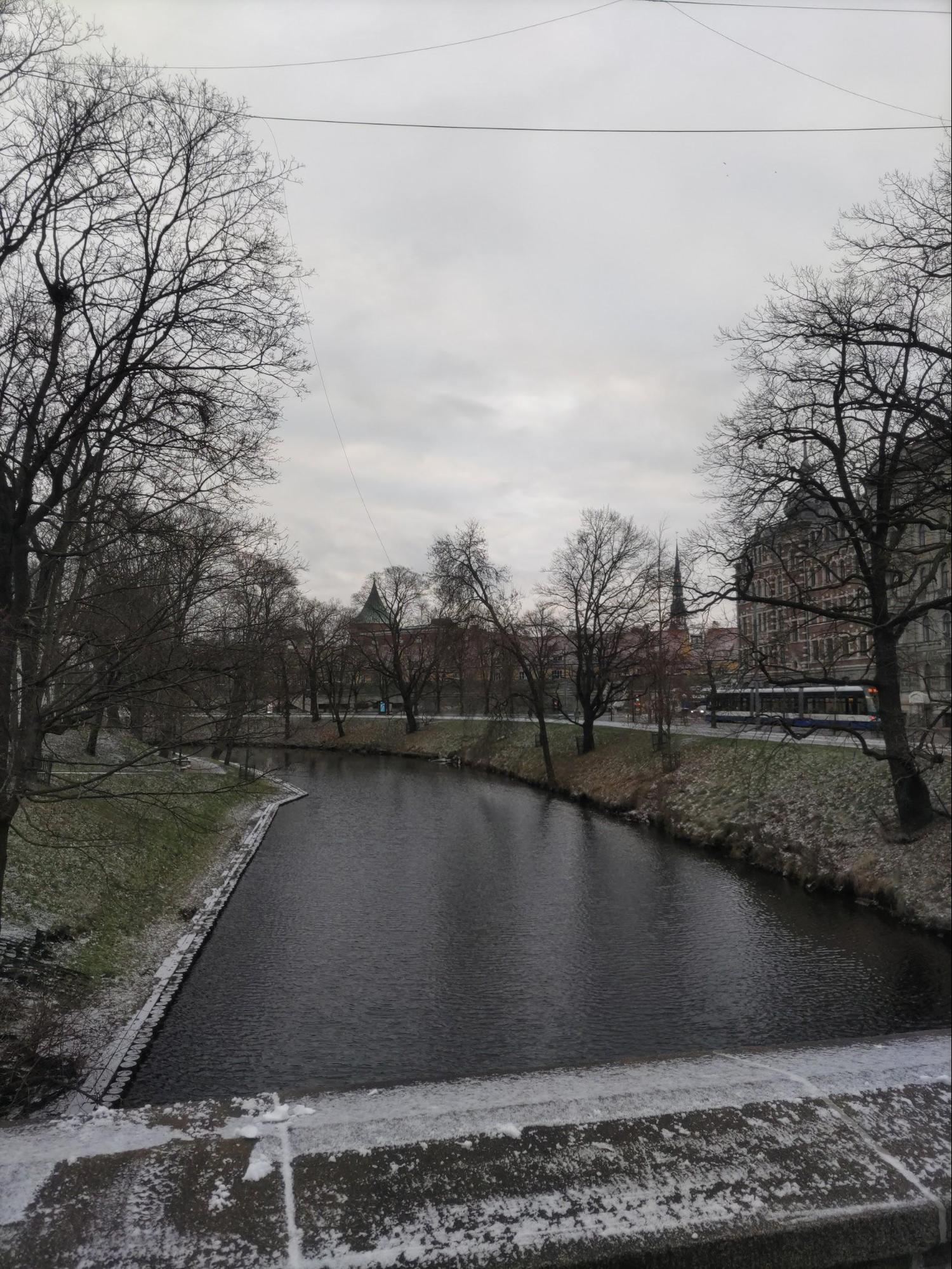 朝の散歩中にパシャリ（提供=筆者）
