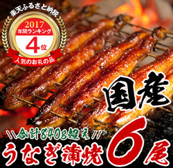 「都農町」の「宮崎のうなぎ蒲焼（長焼6尾入）」