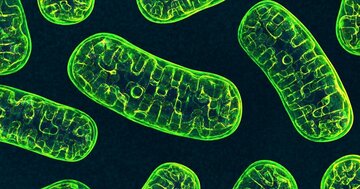 【医者が教える】「そもそも、エネルギーはどこから生まれる?」答えられない人が知るべきこと