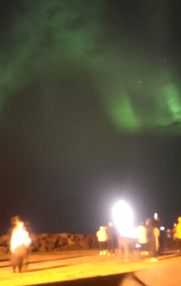 2回目のオーロラツアー中に撮影。私は日本に帰国後、飛行機雲を見ると「もしかしてアレはオーロラなんじゃないか？」と本気で思うことがある（提供=筆者）