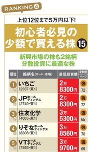 初心者必見の少額で買える株