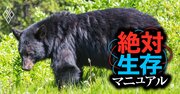 クマ被害激増はドングリ凶作説だけでは説明できない！クマに9回襲われて生還した識者が緊急解説