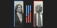 ハリス氏とトランプ氏、支持率ほぼ並ぶ＝WSJ調査