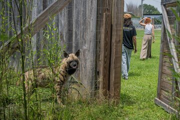 脱走・病死・対人事故、「ずさん運営」動物園の末路