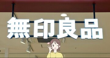 お薬手帳や診察券がまるっと入る！無印良品の“ポケットたくさんポーチ”カードを100枚収納できて天才すぎる！「サイコーの一言」「追加購入しました」