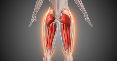 【世界最高のトレーナーが教える！】お尻の「大臀筋」も「股関節」も柔らかくなる究極のストレッチとは？
