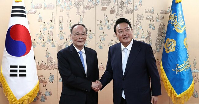 中国の王岐山副大統領と韓国の尹錫淑大統領