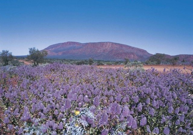 西オーストラリア州の絶景 ピンク色の湖 など地球の歴史を感じる7スポット 地球の歩き方ニュース レポート ダイヤモンド オンライン