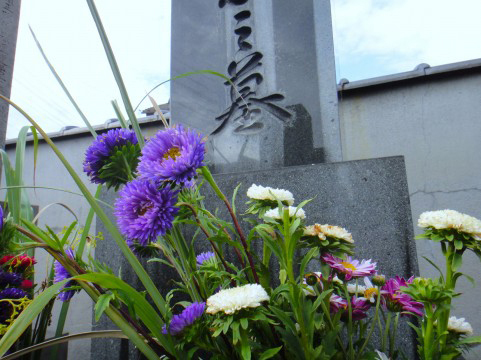地球にやさしい人生最後の選択肢「エコ葬儀」